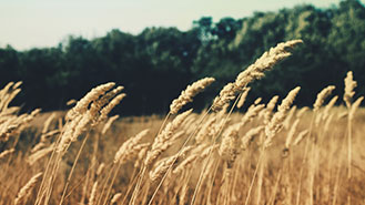 如何便宜开通的手机号轰炸免费软件