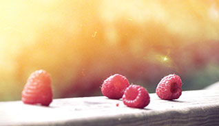 手机号轰在线轰炸